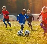 石榴科普时,揭秘亚冬会,冠军的童年,MK,MK,MK注册网址,MKapp,MK官网,MK网站,MK下载