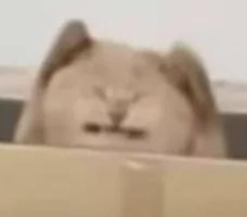 欧篮赛事分,沙萨基,皇马,MK,MK,MK注册网址,MKapp,MK官网,MK网站,MK下载